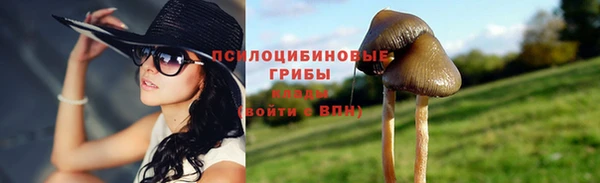 MESCALINE Абаза