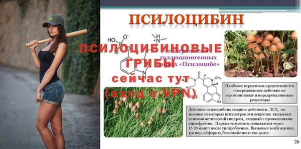 молекула духа Абдулино