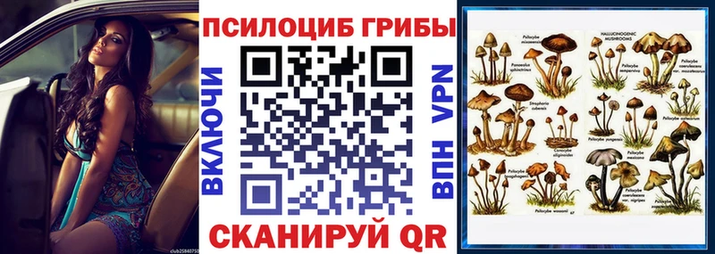 сколько стоит  площадка телеграм  Псилоцибиновые грибы мицелий  Харабали  мега ТОР 
